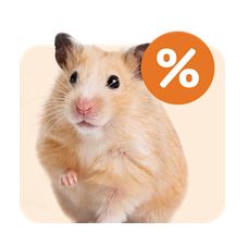 Angebote bei zooplus