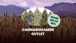 Seed Supplier Outlet